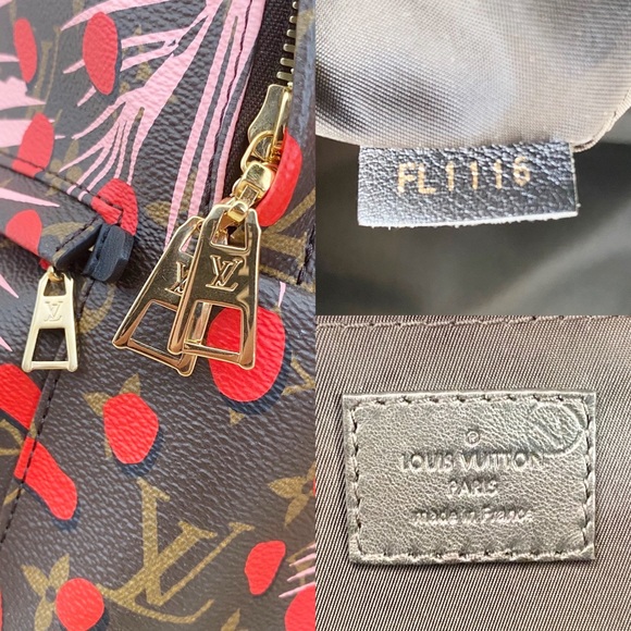 💎✨BRAND NEW✨💎 Louis Vuitton Jungle Palm Springs! - Picture 11 of 11